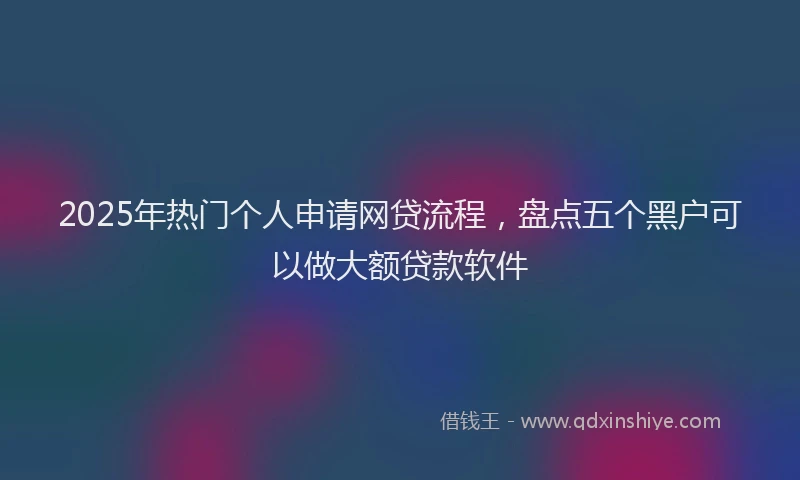 2025年热门个人申请网贷流程，盘点五个黑户可以做大额贷款软件