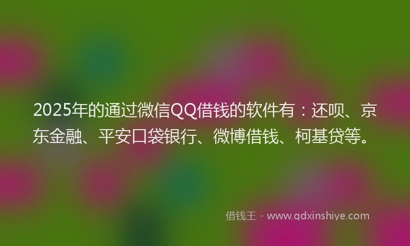 2025年的通过微信QQ借钱的软件有：还呗、京东金融、平安口袋银行、微博借钱、柯基贷等。