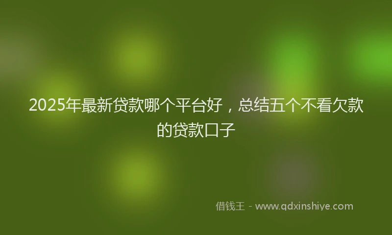 2025年最新贷款哪个平台好，总结五个不看欠款的贷款口子