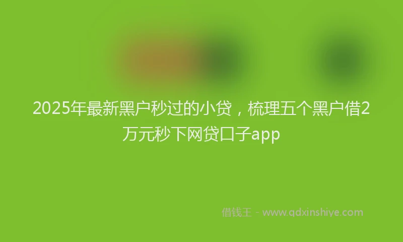 2025年最新黑户秒过的小贷，梳理五个黑户借2万元秒下网贷口子app