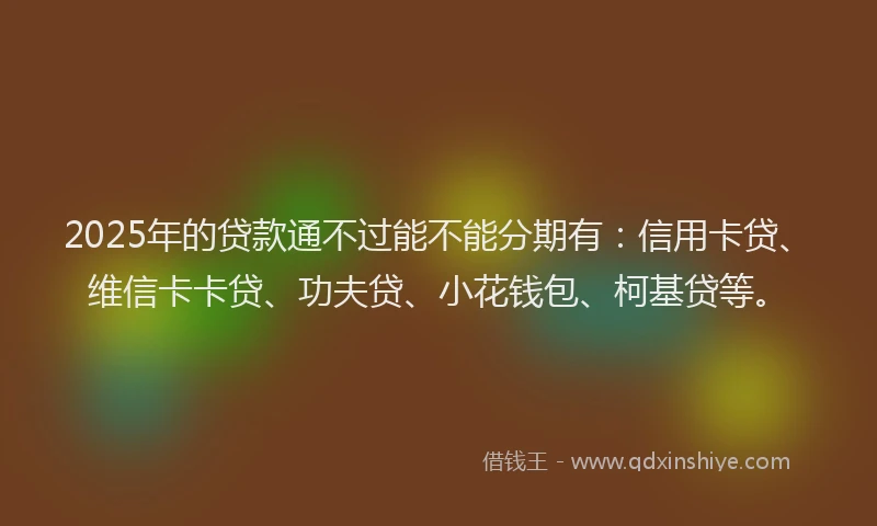 2025年的贷款通不过能不能分期有：信用卡贷、维信卡卡贷、功夫贷、小花钱包、柯基贷等。