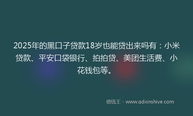 2025年的黑口子贷款18岁也能贷出来吗有：小米贷款、平安口袋银行、拍拍贷、美团生活费、小花钱包等。