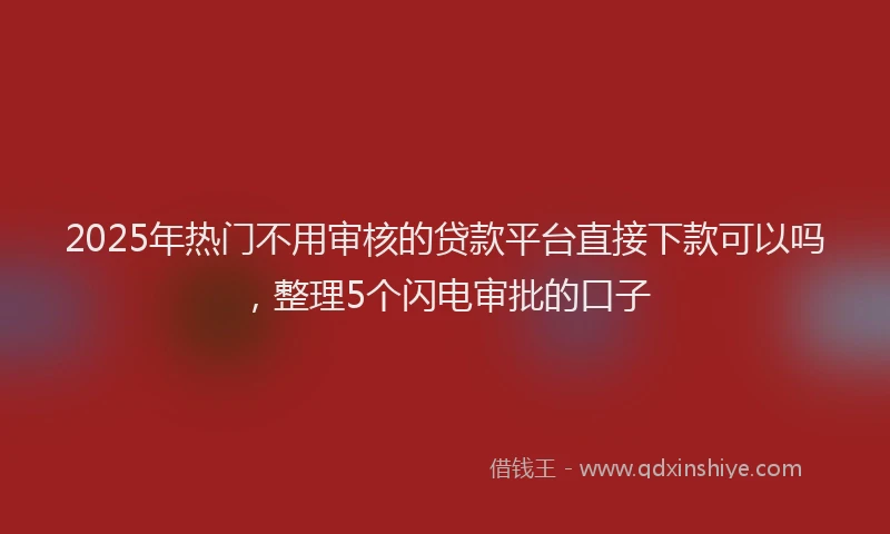 2025年热门不用审核的贷款平台直接下款可以吗，整理5个闪电审批的口子