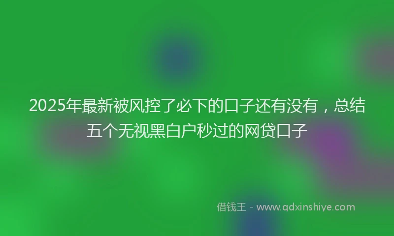 2025年最新被风控了必下的口子还有没有，总结五个无视黑白户秒过的网贷口子