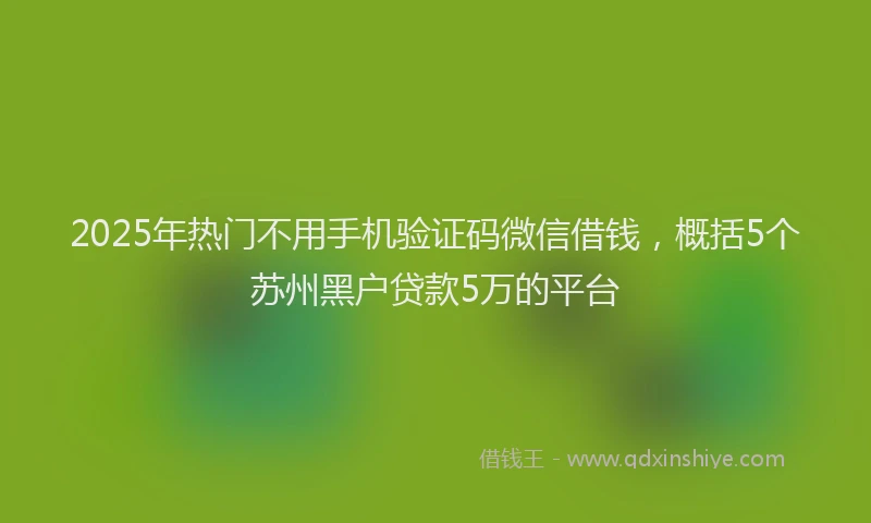 2025年热门不用手机验证码微信借钱，概括5个苏州黑户贷款5万的平台