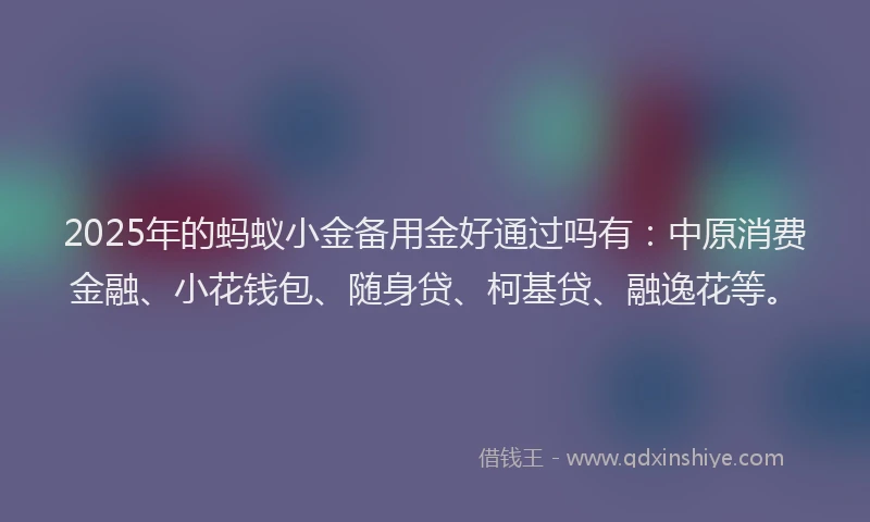 2025年的蚂蚁小金备用金好通过吗有：中原消费金融、小花钱包、随身贷、柯基贷、融逸花等。