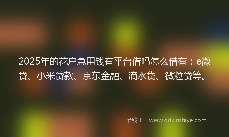 2025年的花户急用钱有平台借吗怎么借有：e微贷、小米贷款、京东金融、滴水贷、微粒贷等。
