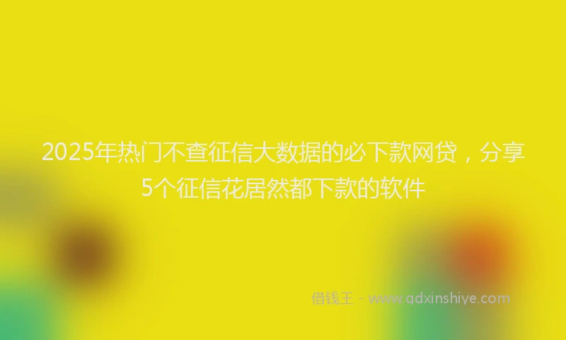 2025年热门不查征信大数据的必下款网贷，分享5个征信花居然都下款的软件