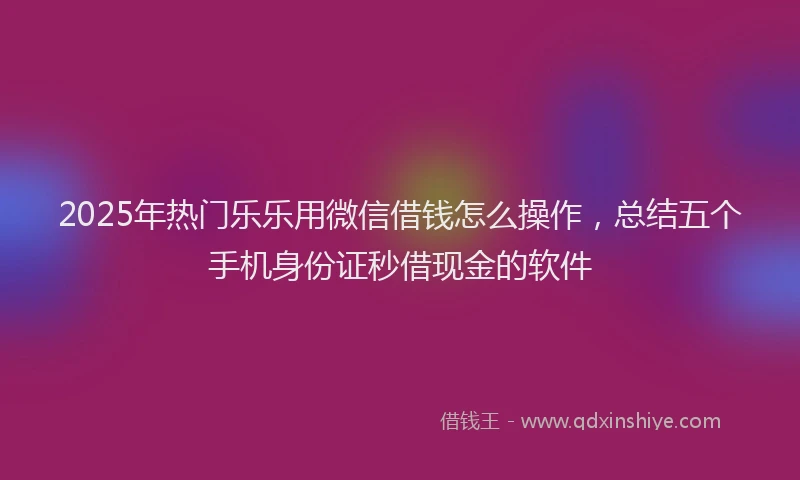 2025年热门乐乐用微信借钱怎么操作，总结五个手机身份证秒借现金的软件