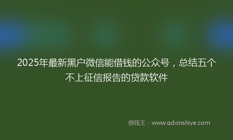 2025年最新黑户微信能借钱的公众号，总结五个不上征信报告的贷款软件