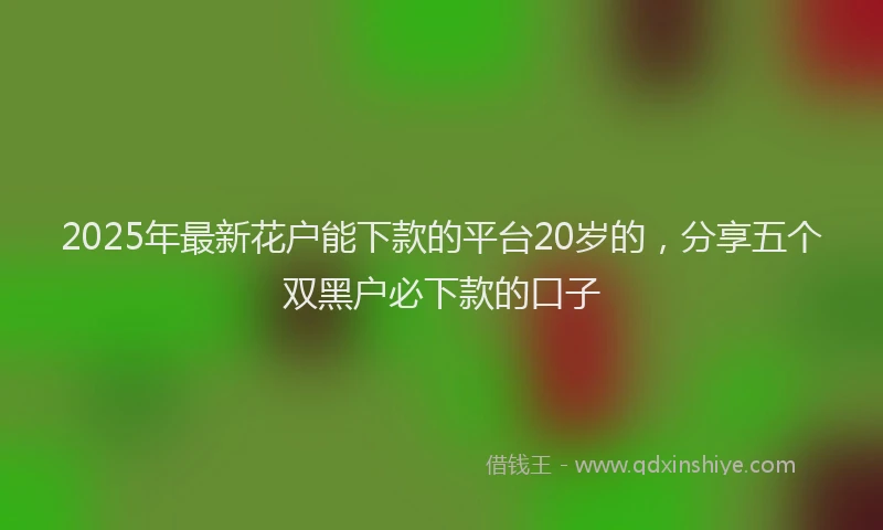 2025年最新花户能下款的平台20岁的，分享五个双黑户必下款的口子