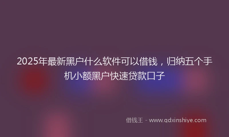 2025年最新黑户什么软件可以借钱，归纳五个手机小额黑户快速贷款口子