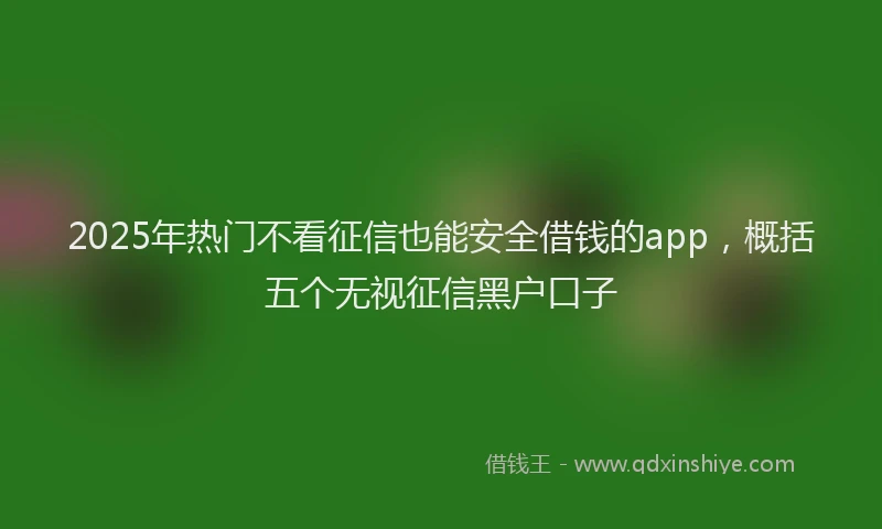 2025年热门不看征信也能安全借钱的app，概括五个无视征信黑户口子