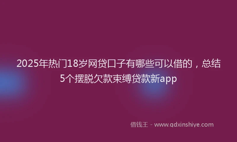 2025年热门18岁网贷口子有哪些可以借的，总结5个摆脱欠款束缚贷款新app