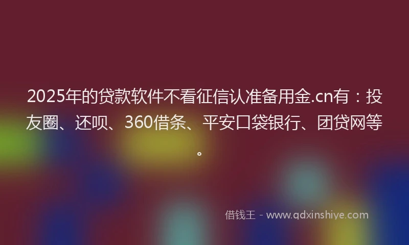 2025年的贷款软件不看征信认准备用金.cn有：投友圈、还呗、360借条、平安口袋银行、团贷网等。