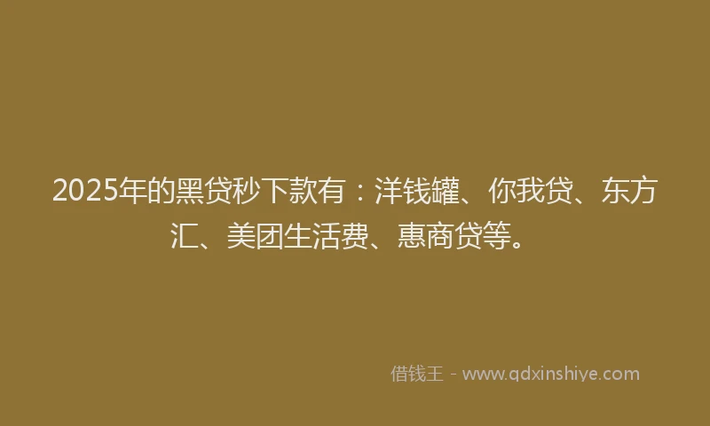 2025年的黑贷秒下款有：洋钱罐、你我贷、东方汇、美团生活费、惠商贷等。