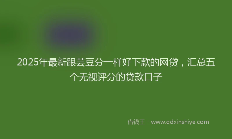 2025年最新跟芸豆分一样好下款的网贷，汇总五个无视评分的贷款口子