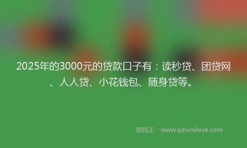 2025年的3000元的贷款口子有：读秒贷、团贷网、人人贷、小花钱包、随身贷等。