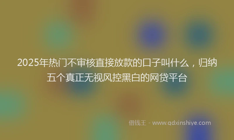 2025年热门不审核直接放款的口子叫什么，归纳五个真正无视风控黑白的网贷平台
