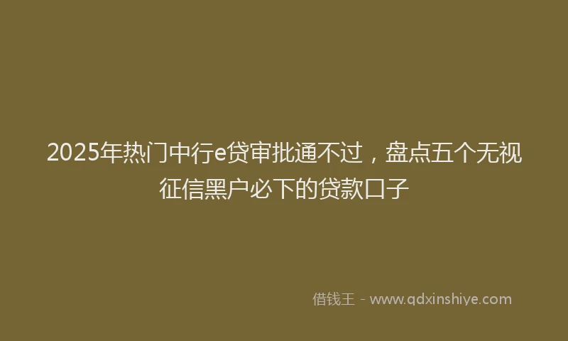 2025年热门中行e贷审批通不过，盘点五个无视征信黑户必下的贷款口子
