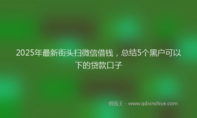 2025年最新街头扫微信借钱，总结5个黑户可以下的贷款口子