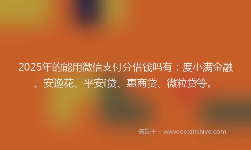 2025年的能用微信支付分借钱吗有：度小满金融、安逸花、平安i贷、惠商贷、微粒贷等。