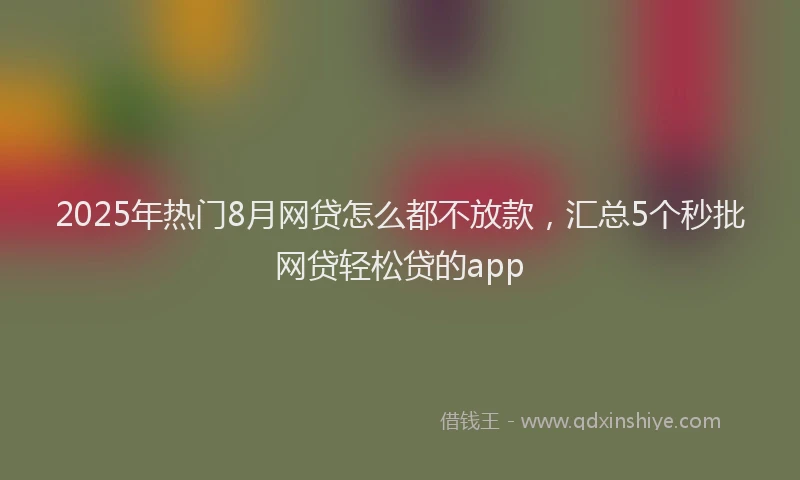 2025年热门8月网贷怎么都不放款，汇总5个秒批网贷轻松贷的app