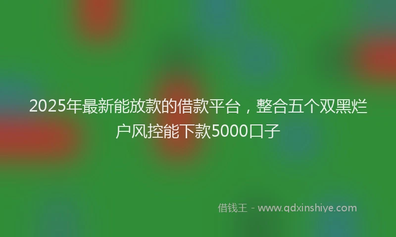 2025年最新能放款的借款平台，整合五个双黑烂户风控能下款5000口子