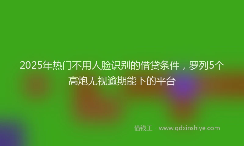 2025年热门不用人脸识别的借贷条件，罗列5个高炮无视逾期能下的平台