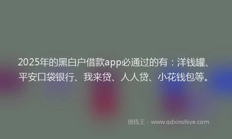 2025年的黑白户借款app必通过的有：洋钱罐、平安口袋银行、我来贷、人人贷、小花钱包等。