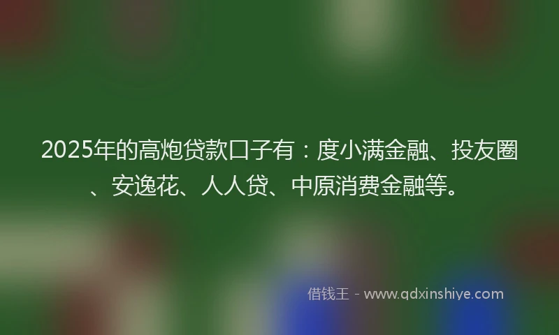 2025年的高炮贷款口子有：度小满金融、投友圈、安逸花、人人贷、中原消费金融等。
