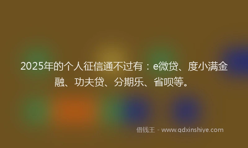 2025年的个人征信通不过有：e微贷、度小满金融、功夫贷、分期乐、省呗等。