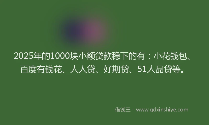 2025年的1000块小额贷款稳下的有：小花钱包、百度有钱花、人人贷、好期贷、51人品贷等。