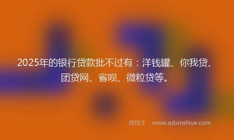 2025年的银行贷款批不过有：洋钱罐、你我贷、团贷网、省呗、微粒贷等。