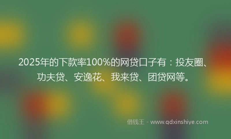 2025年的下款率100%的网贷口子有：投友圈、功夫贷、安逸花、我来贷、团贷网等。