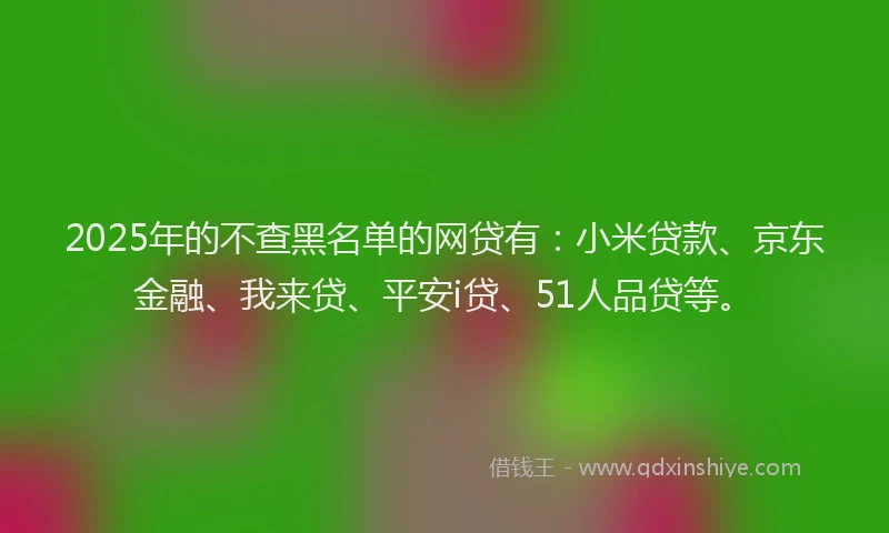 2025年的不查黑名单的网贷有：小米贷款、京东金融、我来贷、平安i贷、51人品贷等。