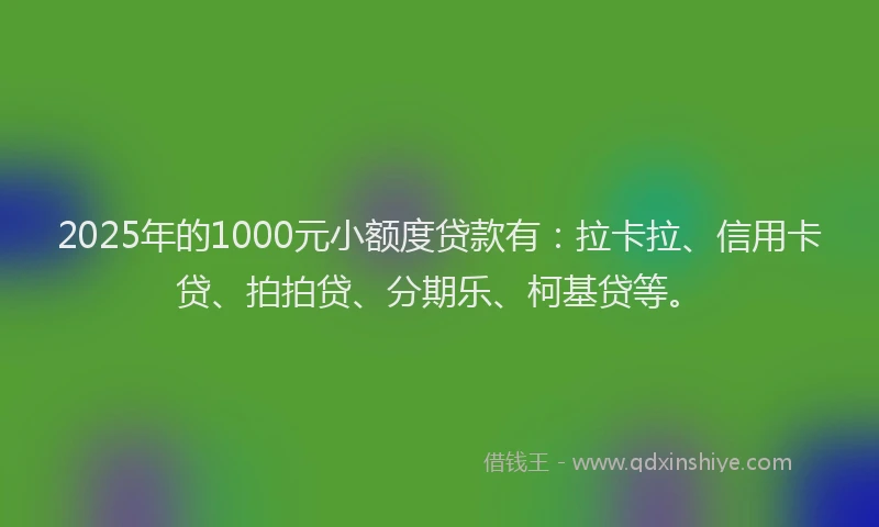 2025年的1000元小额度贷款有：拉卡拉、信用卡贷、拍拍贷、分期乐、柯基贷等。