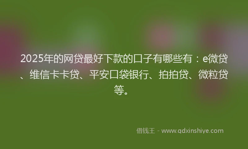 2025年的网贷最好下款的口子有哪些有:e微贷、维信卡卡贷、平安口袋银行、拍拍贷、微粒贷等。