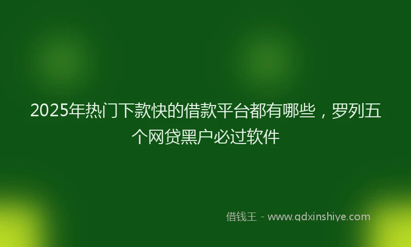 2025年热门下款快的借款平台都有哪些，罗列五个网贷黑户必过软件