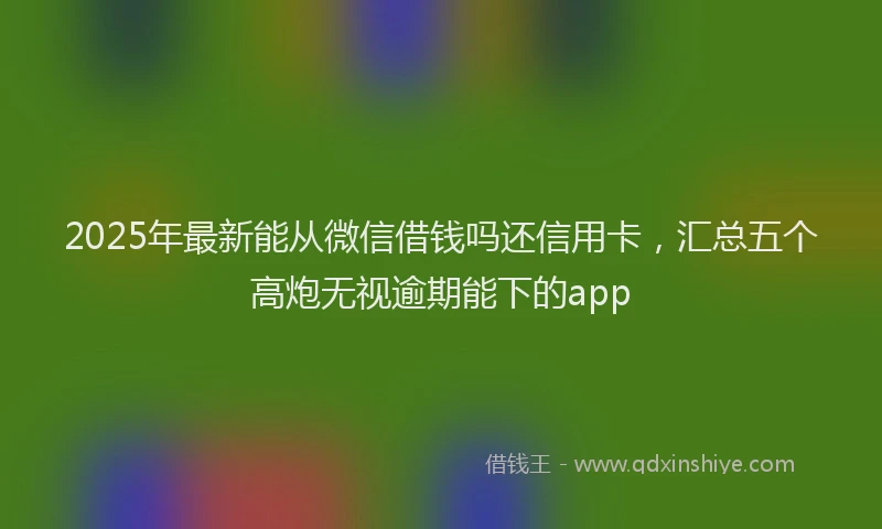 2025年最新能从微信借钱吗还信用卡，汇总五个高炮无视逾期能下的app