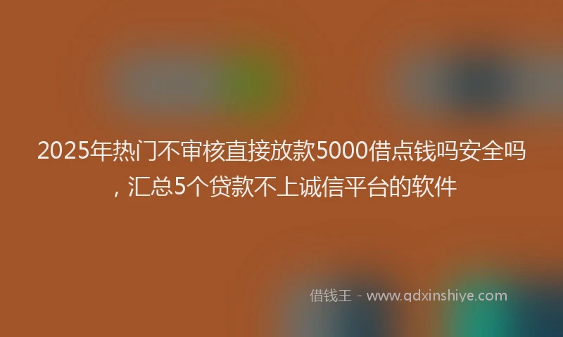 2025年热门不审核直接放款5000借点钱吗安全吗，汇总5个贷款不上诚信平台的软件