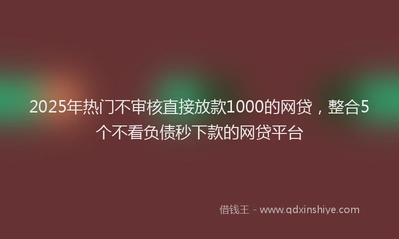 2025年热门不审核直接放款1000的网贷，整合5个不看负债秒下款的网贷平台