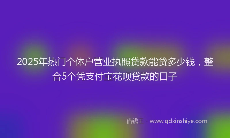2025年热门个体户营业执照贷款能贷多少钱，整合5个凭支付宝花呗贷款的口子