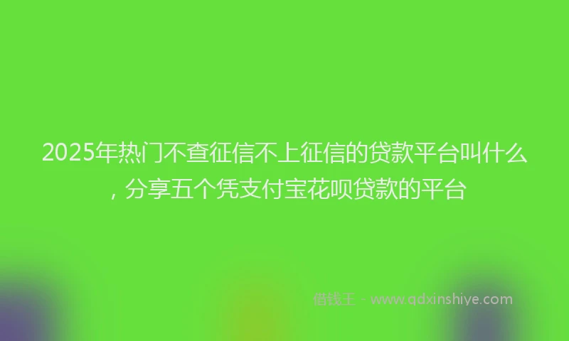 2025年热门不查征信不上征信的贷款平台叫什么，分享五个凭支付宝花呗贷款的平台