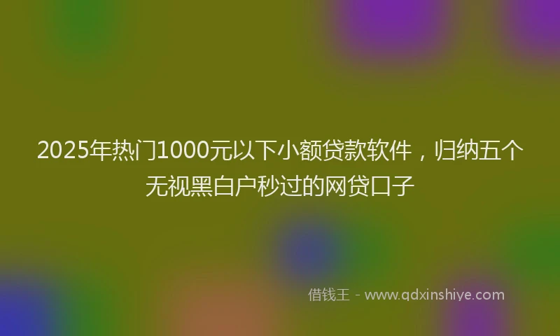 2025年热门1000元以下小额贷款软件，归纳五个无视黑白户秒过的网贷口子