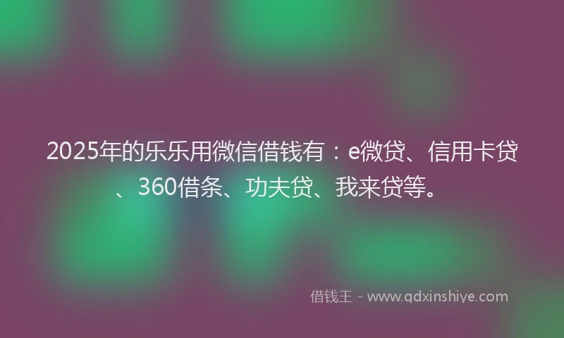 2025年的乐乐用微信借钱有：e微贷、信用卡贷、360借条、功夫贷、我来贷等。