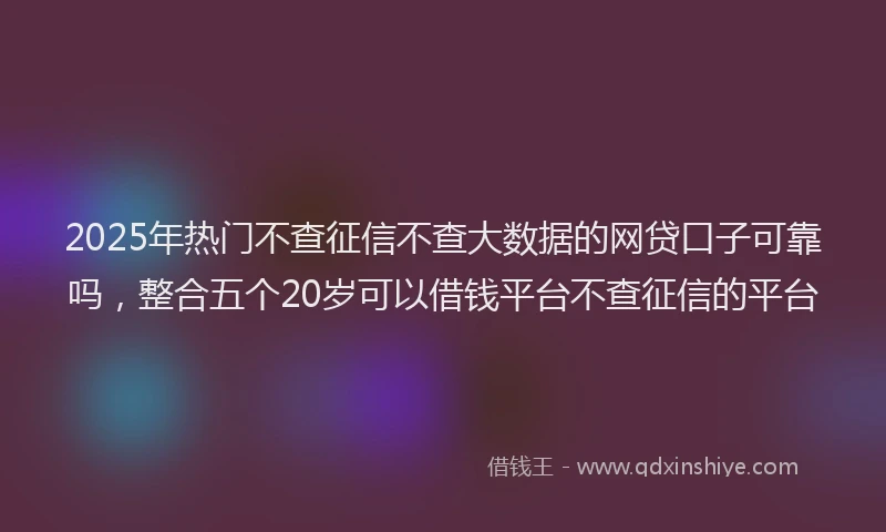 2025年热门不查征信不查大数据的网贷口子可靠吗，整合五个20岁可以借钱平台不查征信的平台