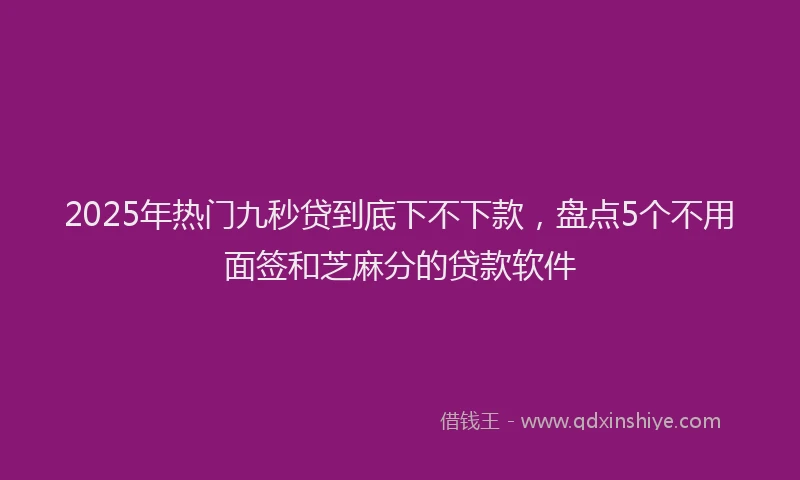 2025年热门九秒贷到底下不下款，盘点5个不用面签和芝麻分的贷款软件