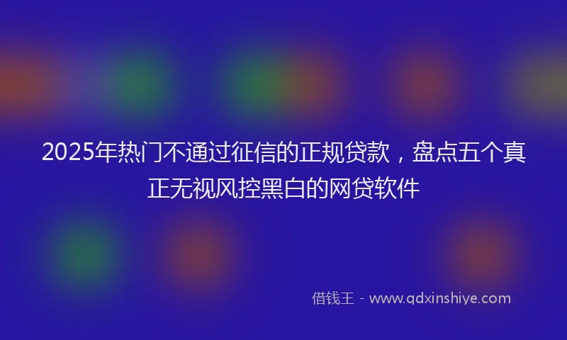 2025年热门不通过征信的正规贷款，盘点五个真正无视风控黑白的网贷软件