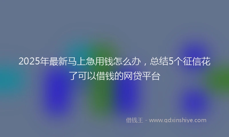 2025年最新马上急用钱怎么办，总结5个征信花了可以借钱的网贷平台